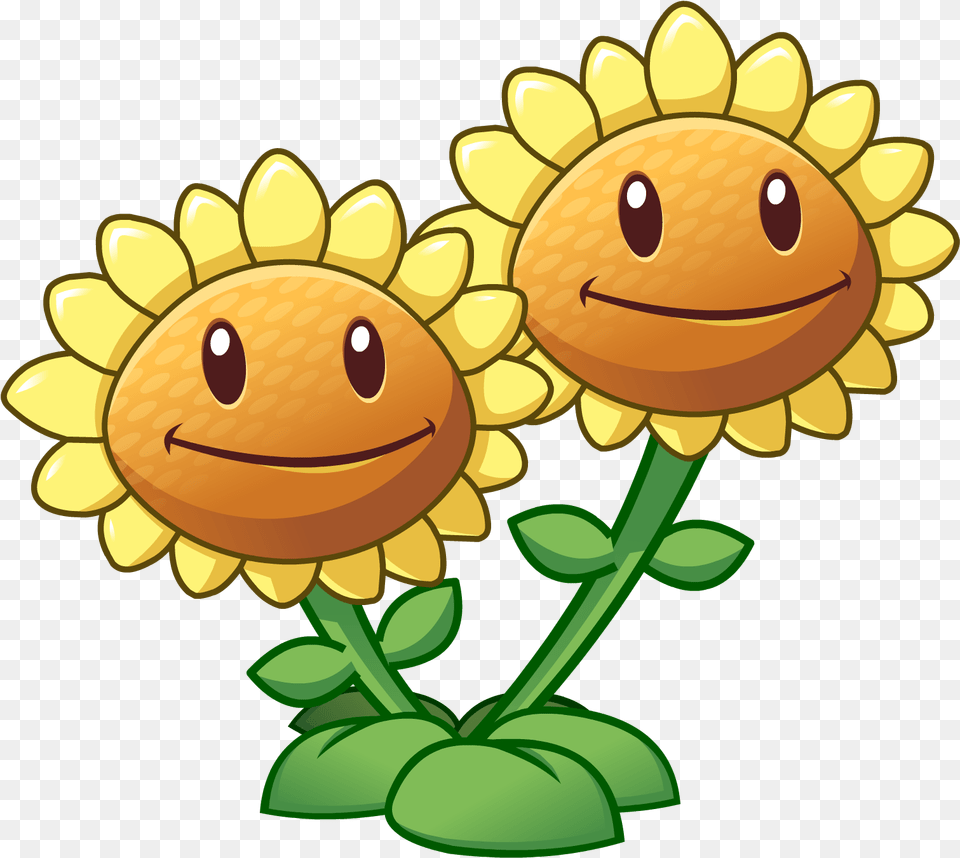 Twin Sunflower Girasol Plantas Vs Zombies, Daisy, Flower, Plant, Dynamite Free Transparent Png