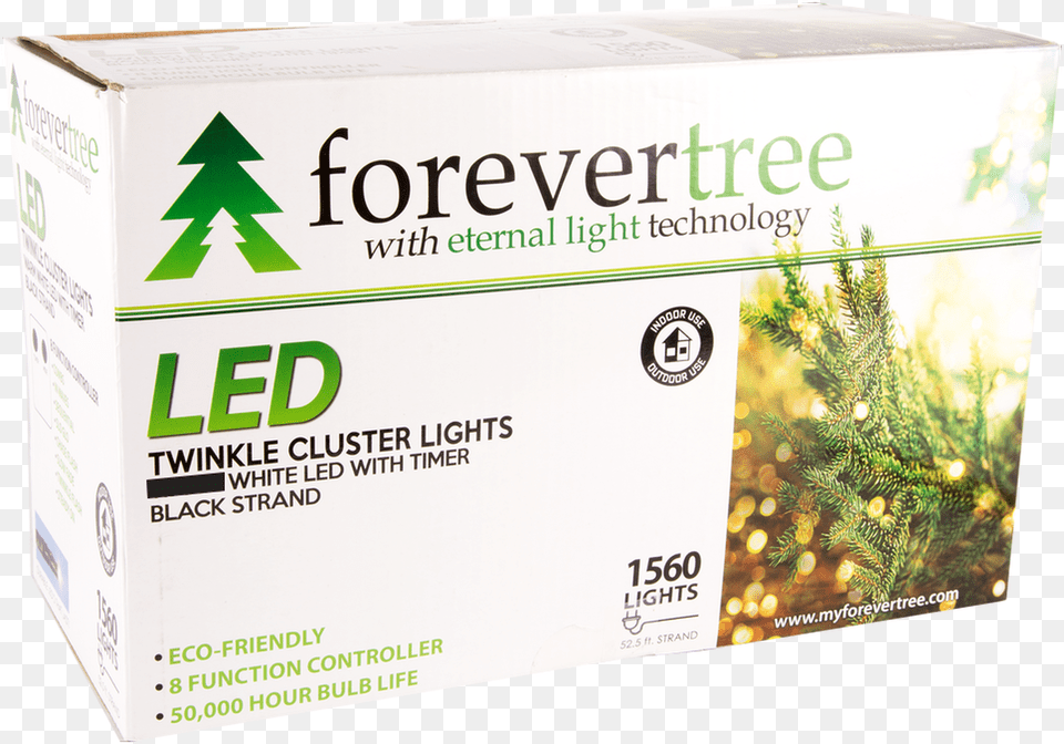 Twinkle Lights, Box, Plant, Tree, Cardboard Free Png