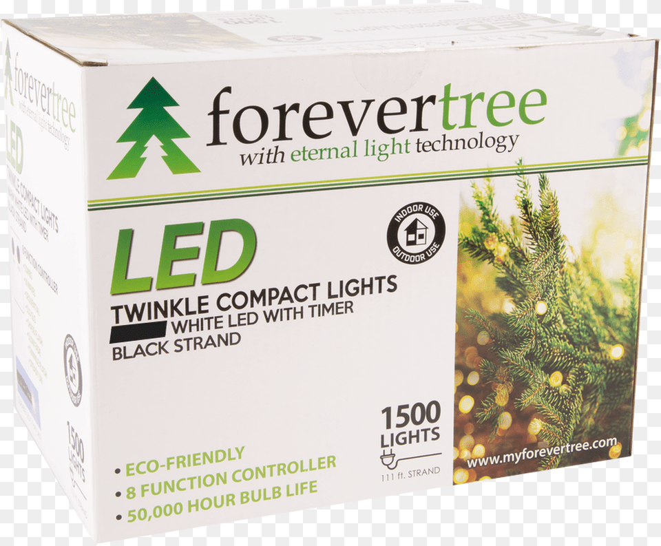 Twinkle Lights, Box, Plant, Tree, Carton Png Image