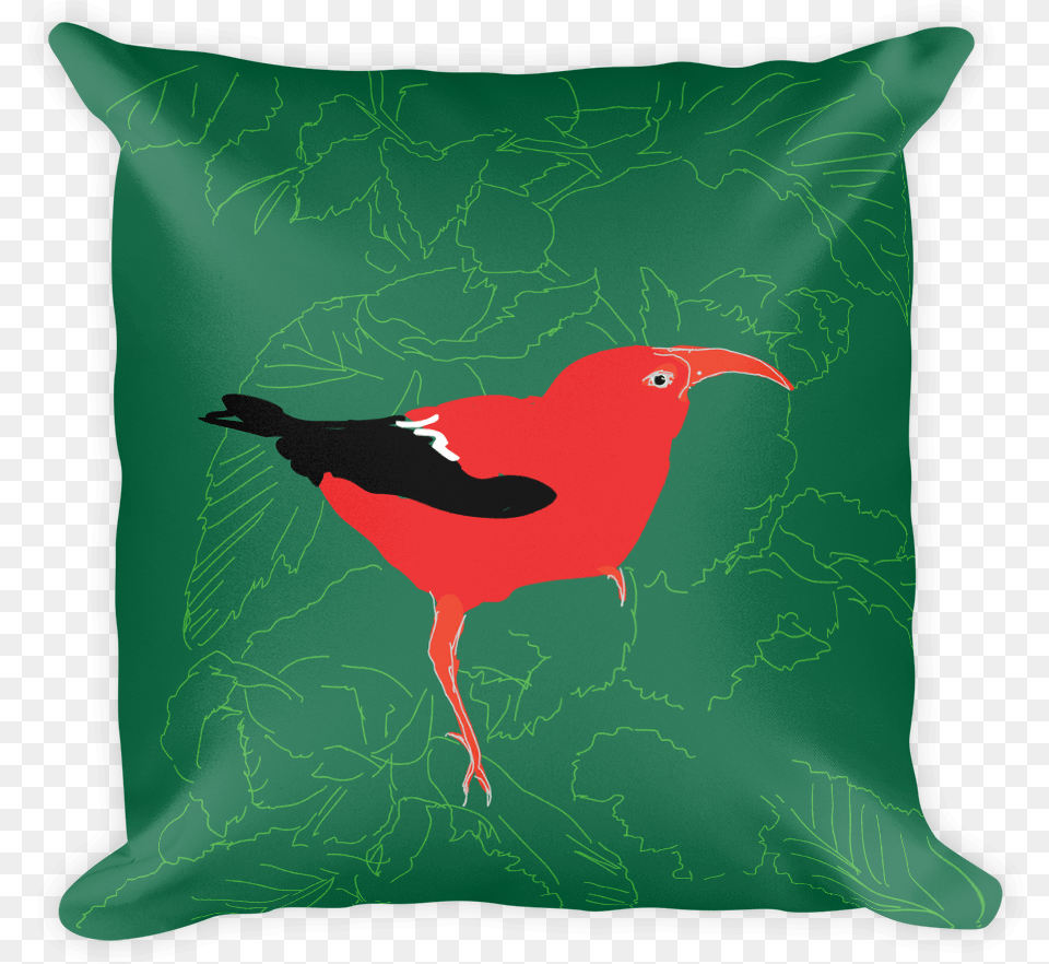 Twinkle Twinkle Quotes On Pillows, Animal, Beak, Bird, Cushion Free Transparent Png