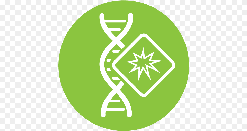 Twinstrand Biosciences Language, Logo, Disk, Symbol Free Png