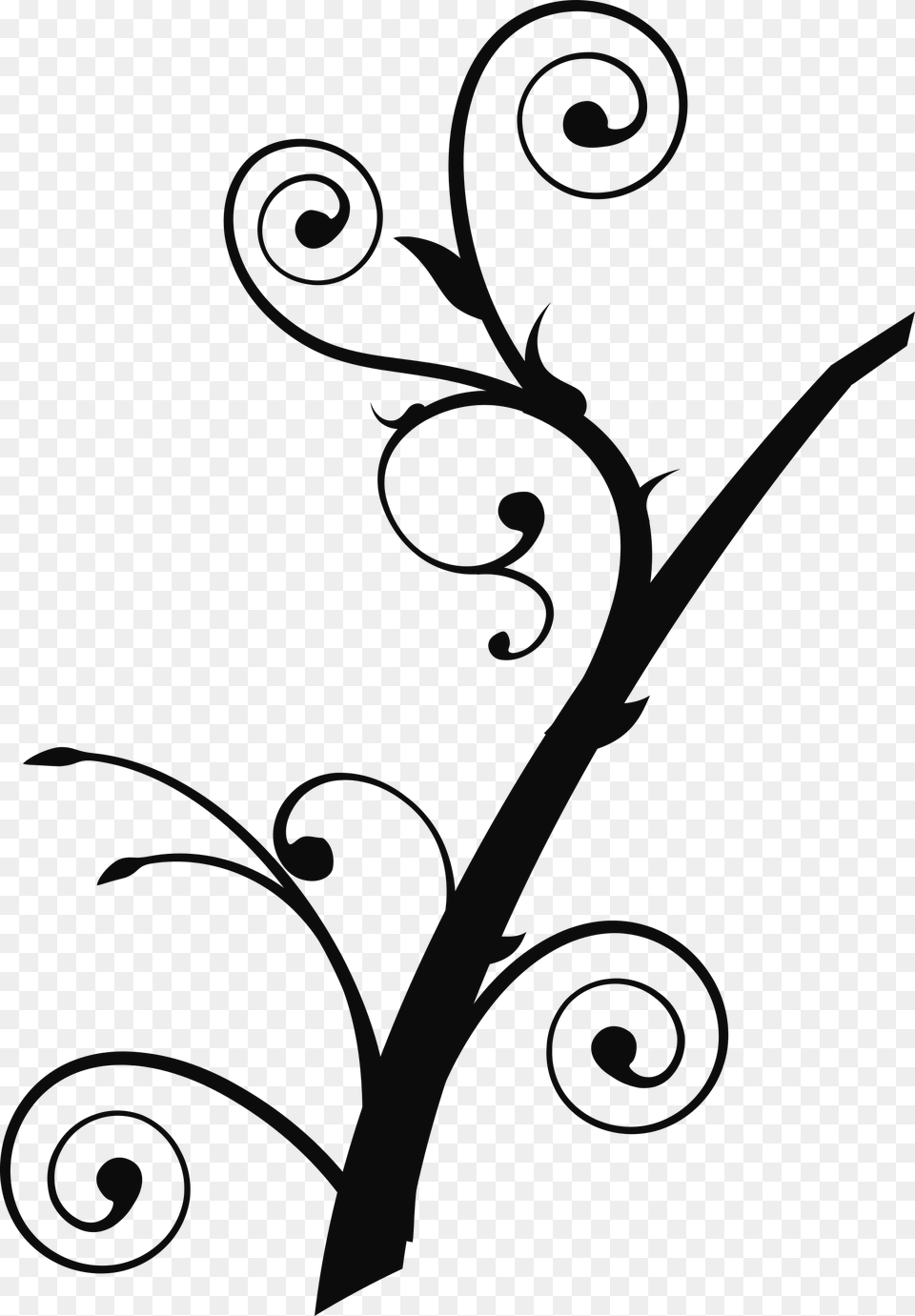 Twisted Branch 2 Banner Library Tree Branch Clip Art, Floral Design, Graphics, Pattern, Disk Free Png Download