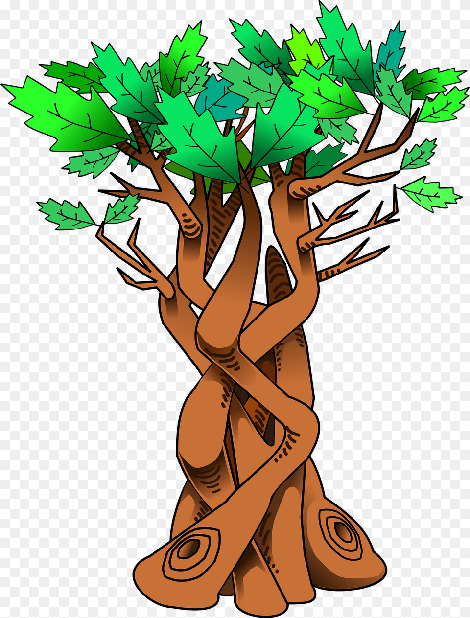 Twisted Tree With Green Leaves Clipart, Plant, Art, Graphics, Vegetation Free Transparent Png