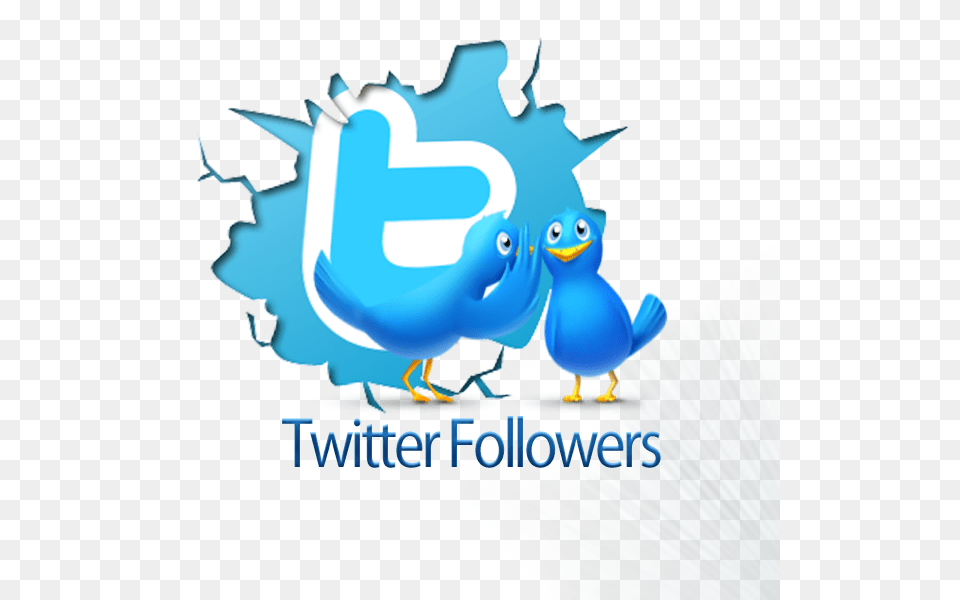 Twiter Logo Cracked Twitter Icon, Art, Graphics, Advertisement, Animal Free Transparent Png
