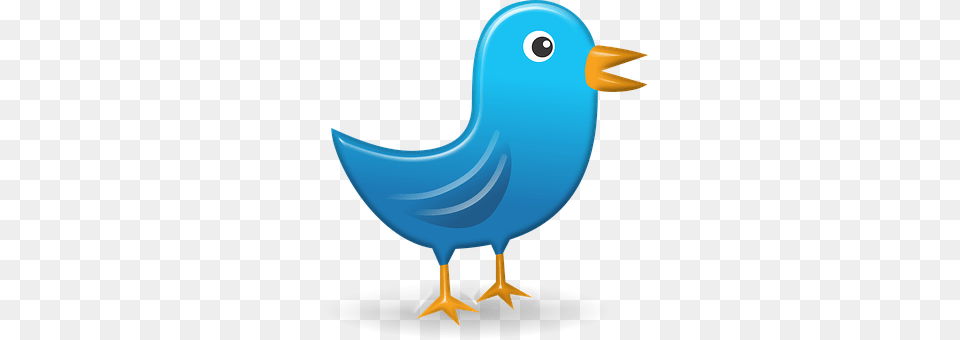 Twitter Animal, Beak, Bird Free Transparent Png