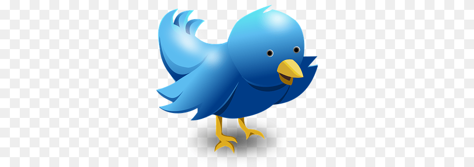 Twitter Animal, Beak, Bird, Fish Free Transparent Png