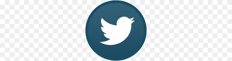 Twitter, Logo Png Image