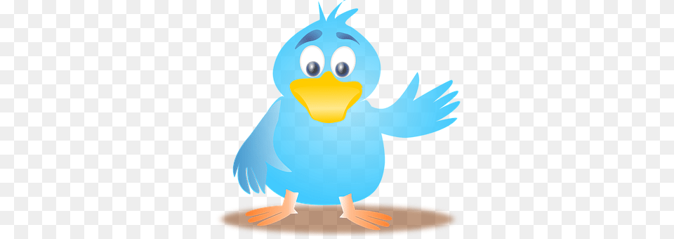 Twitter Animal, Beak, Bird, Jay Free Transparent Png