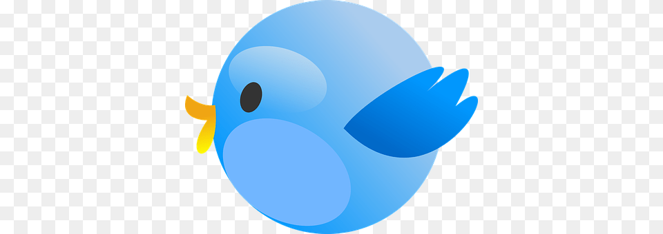 Twitter Animal, Bird, Jay, Sea Life Free Png Download