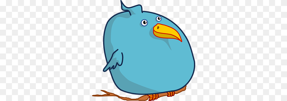 Twitter Animal, Beak, Bird Free Png