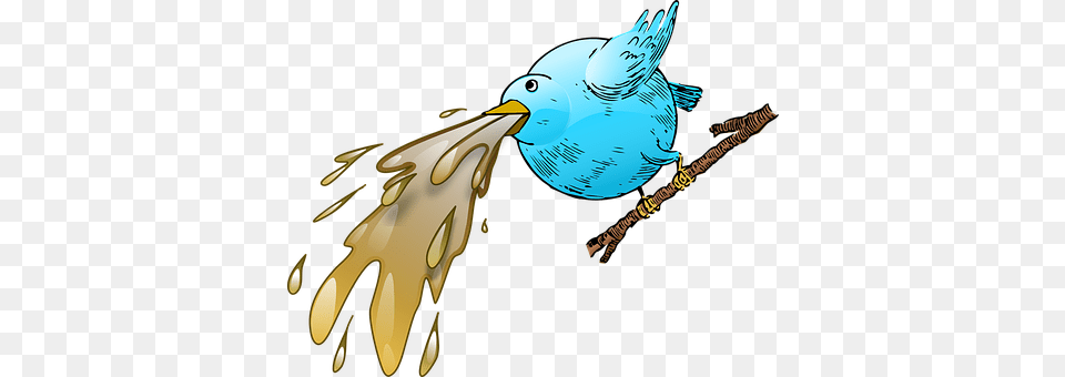 Twitter Animal, Beak, Bird, Jay Free Png