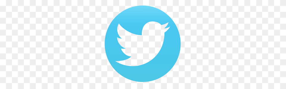 Twitter, Logo, Animal, Bird Png Image