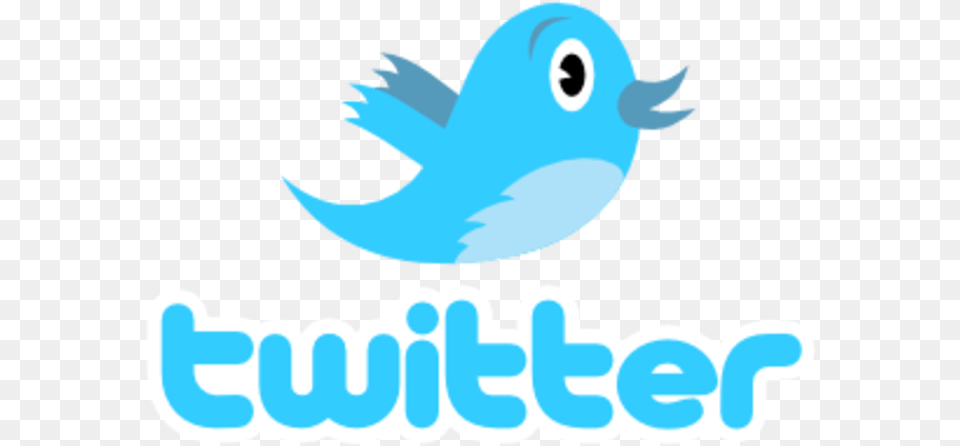 Twitter, Animal, Bird, Jay, Logo Png Image