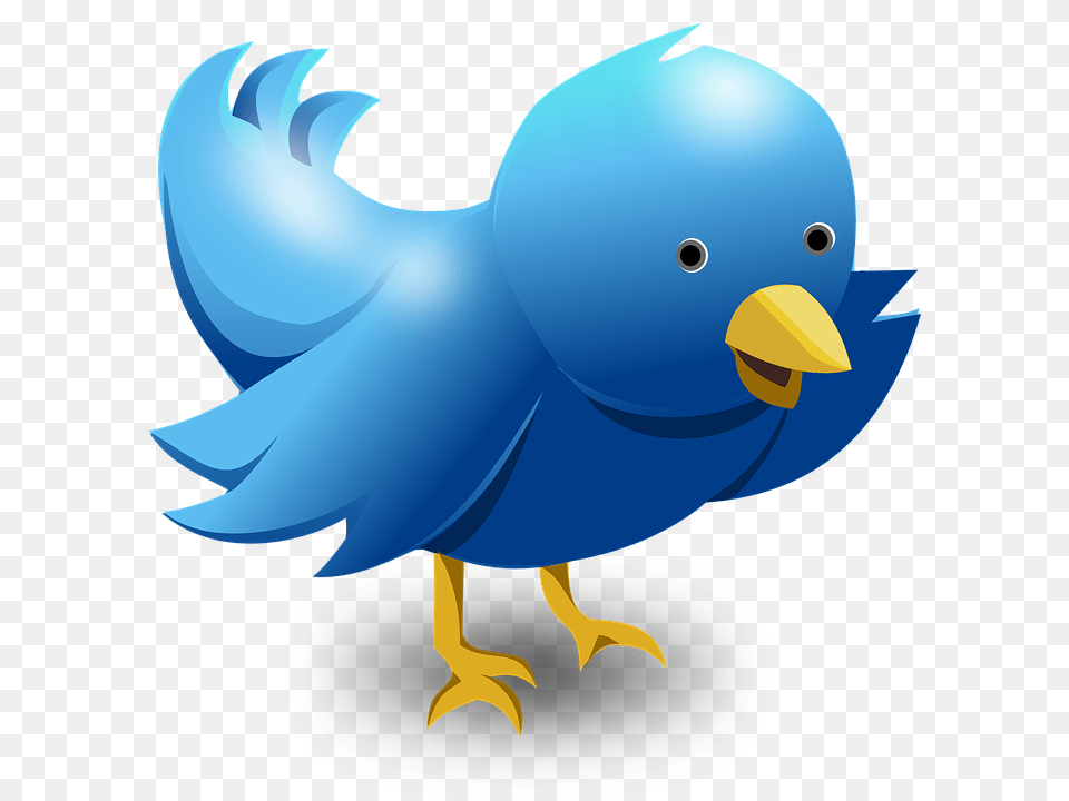 Twitter, Animal, Beak, Bird, Fish Png