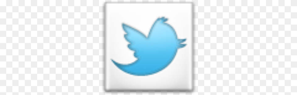 Twitter 2 Language, Logo, Animal, Fish, Sea Life Free Png