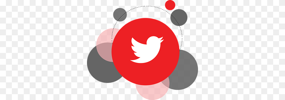 Twitter Logo Png Image