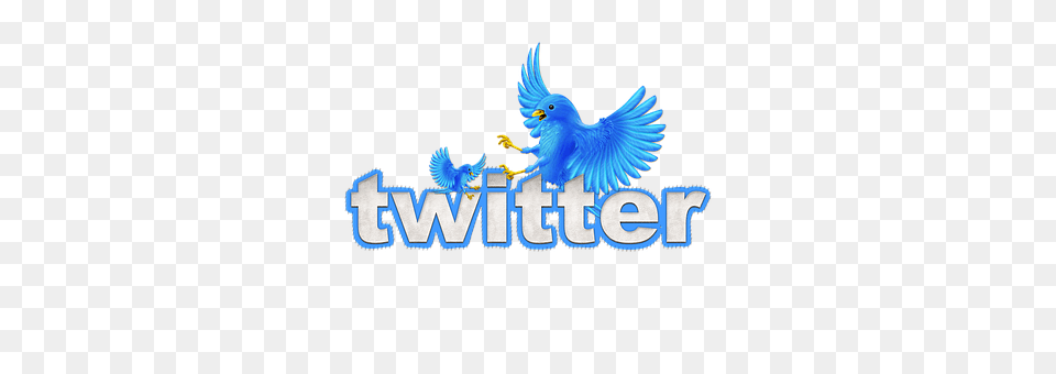 Twitter Logo, Animal, Bird, Jay Free Png