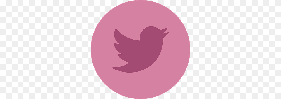 Twitter Logo Png