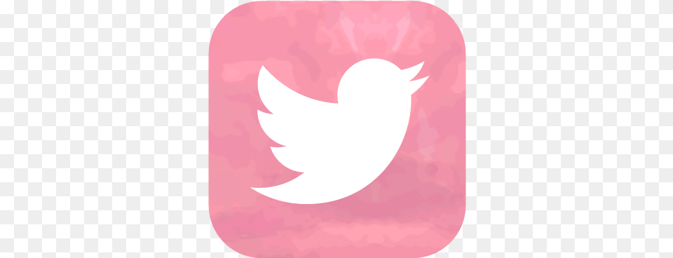 Twitter, Home Decor Free Png