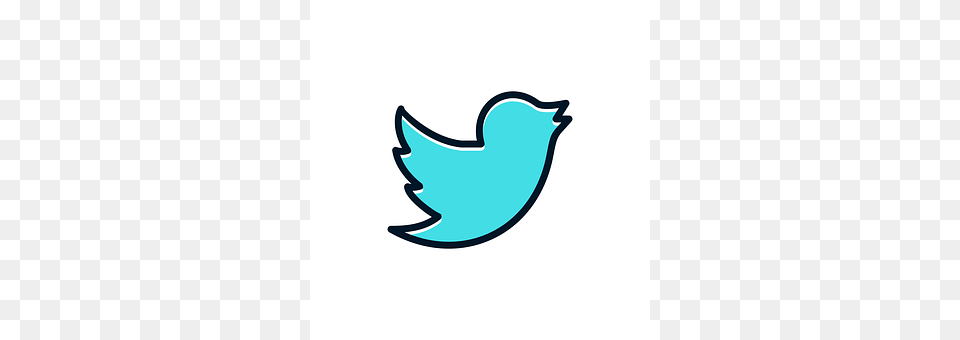 Twitter Logo, Smoke Pipe Png Image