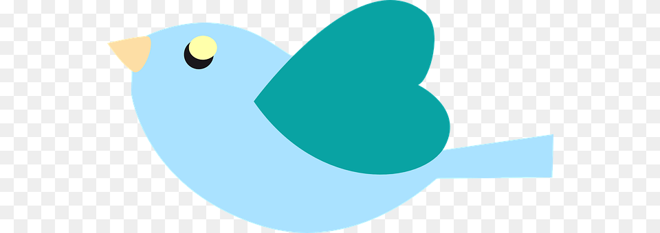 Twitter Animal, Bird, Jay, Disk Png