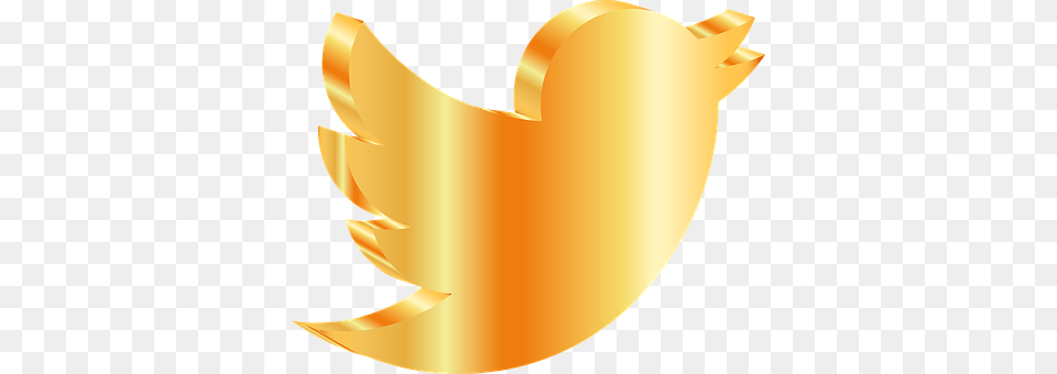 Twitter Free Png