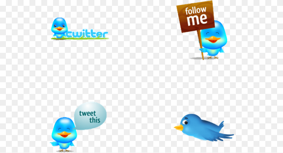 Twitter, Animal, Bird, Baby, Person Free Png Download