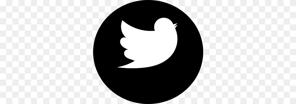 Twitter Silhouette, Stencil, Astronomy, Moon Png