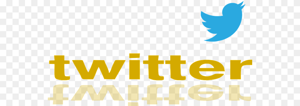 Twitter Logo, Text Png