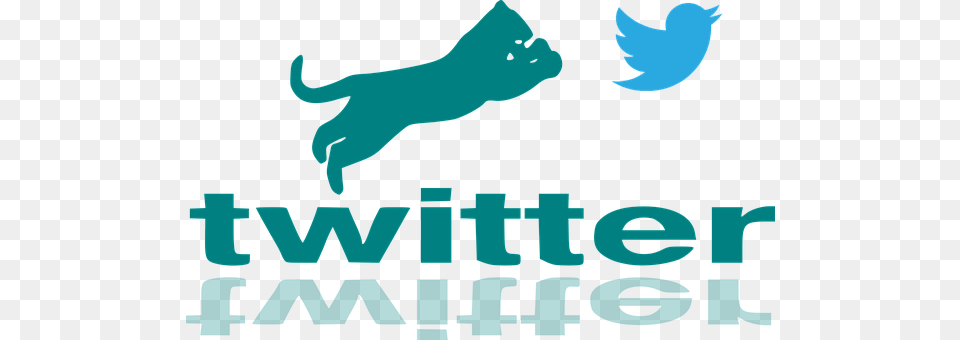 Twitter Logo, Animal, Mammal, Sea Life Png