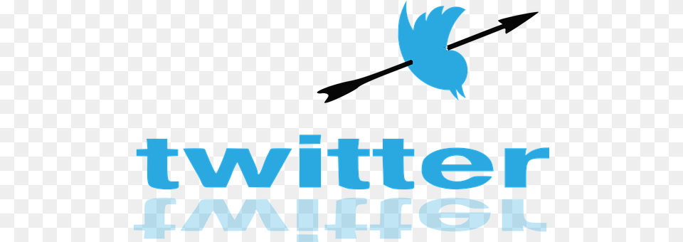Twitter Logo Free Png Download