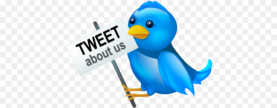 Twitter About Our Icons U2013 Download Logo, Animal, Bird, Jay, Bluebird Free Transparent Png
