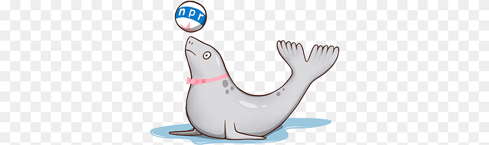 Twitter Basics Hashtags Npr Training How To Change Icon Tumblr 2015, Animal, Mammal, Sea Life, Sea Lion Png