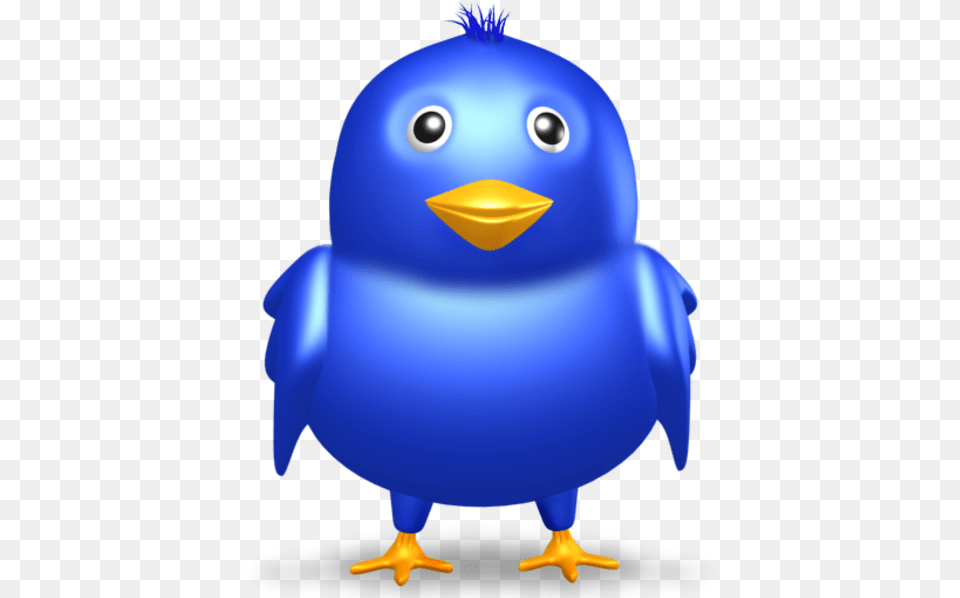 Twitter Bird, Animal, Beak Free Transparent Png