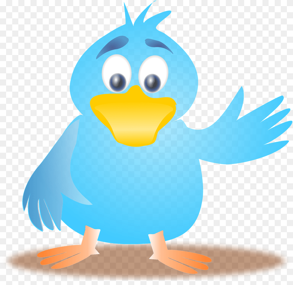 Twitter Bird Clipart, Animal, Beak, Jay, Fish Free Png Download