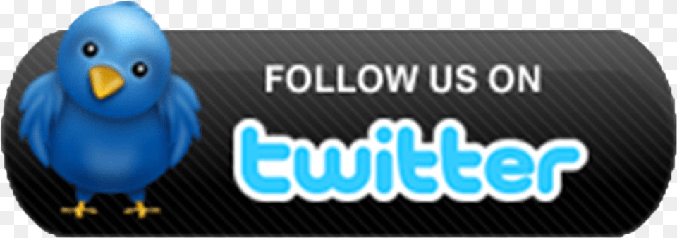 Twitter Bird Follow Us On Twitter Twitter Transparent Follow Us On Twitter Logo, Animal, Text Png
