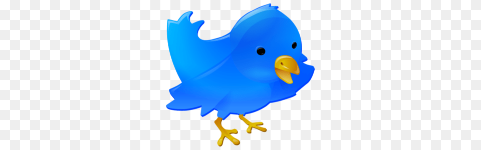 Twitter Bird Images, Animal, Beak, Fish, Sea Life Free Png Download