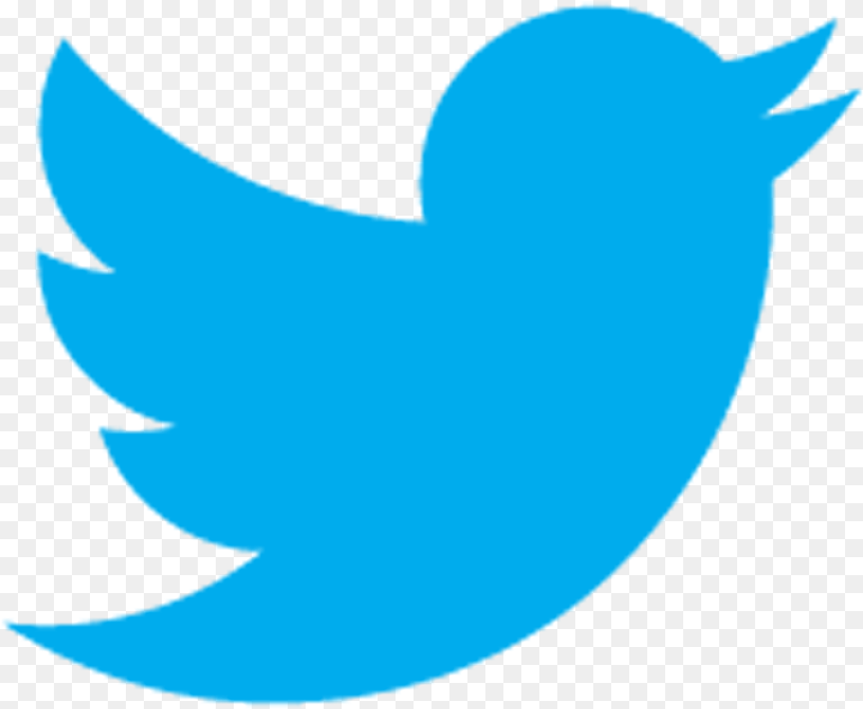 Twitter Bird Icon, Animal, Logo Png