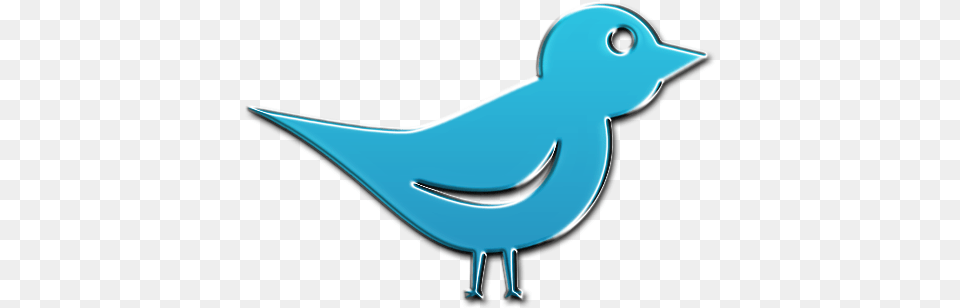 Twitter Bird Icon Clipart Image Icon, Animal, Jay, Fish, Sea Life Free Png Download