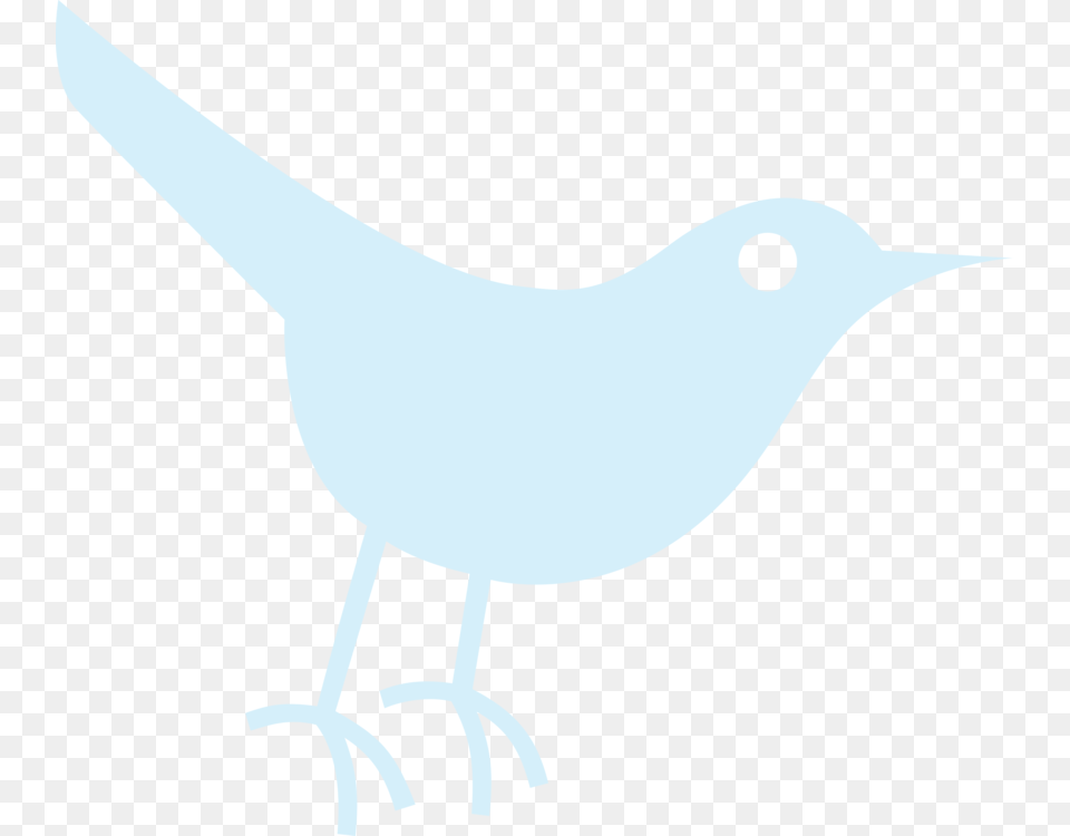 Twitter Bird Icon Cut The Rope Industrial Age, Animal, Blackbird, Person, Wren Png Image