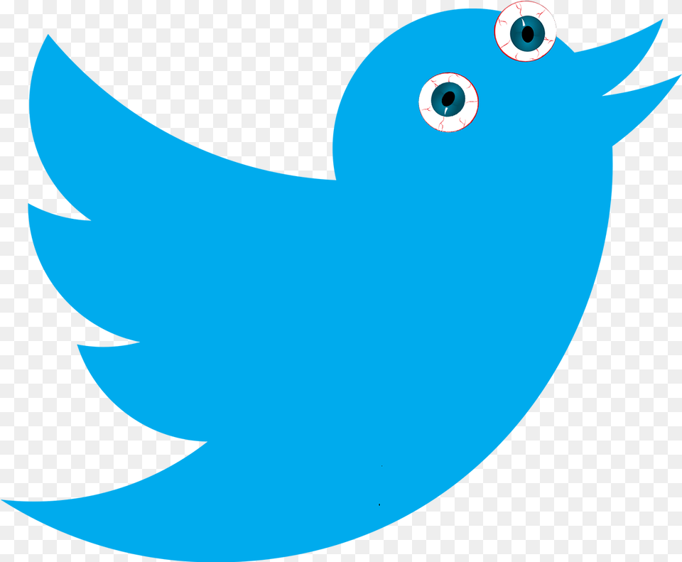 Twitter Bird Icon White Clipart Twitter, Animal, Jay, Astronomy, Moon Free Transparent Png