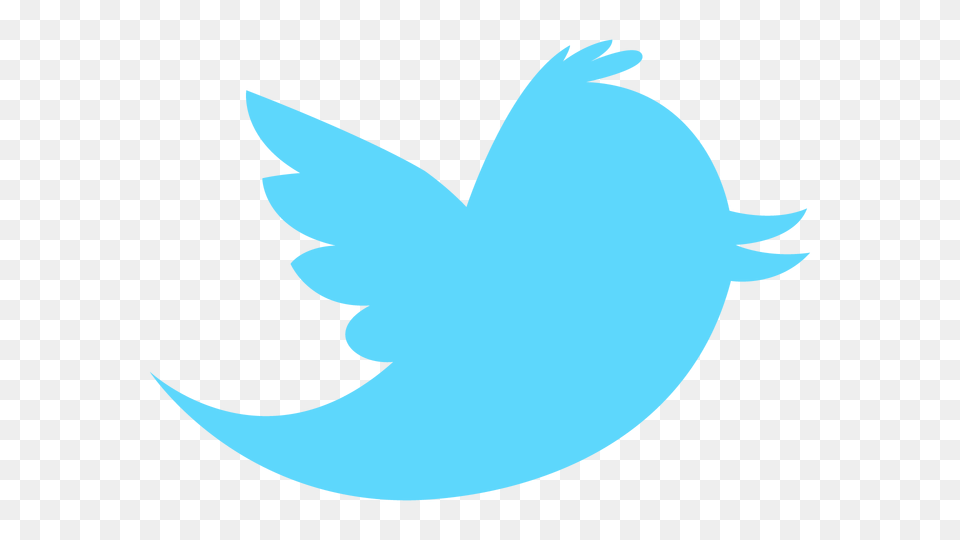 Twitter Bird Logo Background Twitter Icon, Animal, Fish, Sea Life, Shark Free Png Download