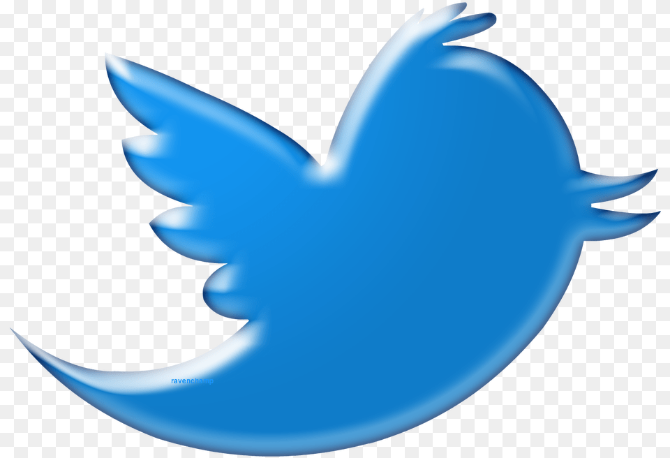 Twitter Bird Logo Transparent Background Vector, Animal, Fish, Sea Life, Shark Png Image