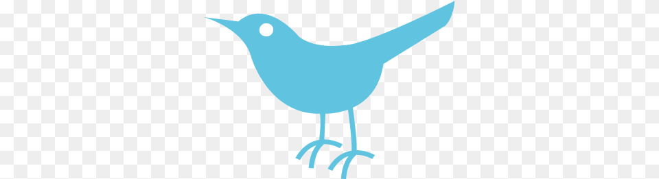 Twitter Bird Logo Twitter Bird Icon, Animal, Blackbird, Wren, Jay Png Image