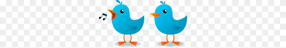 Twitter Bird Mascot Clip Art, Animal, Beak, Face, Head Png Image