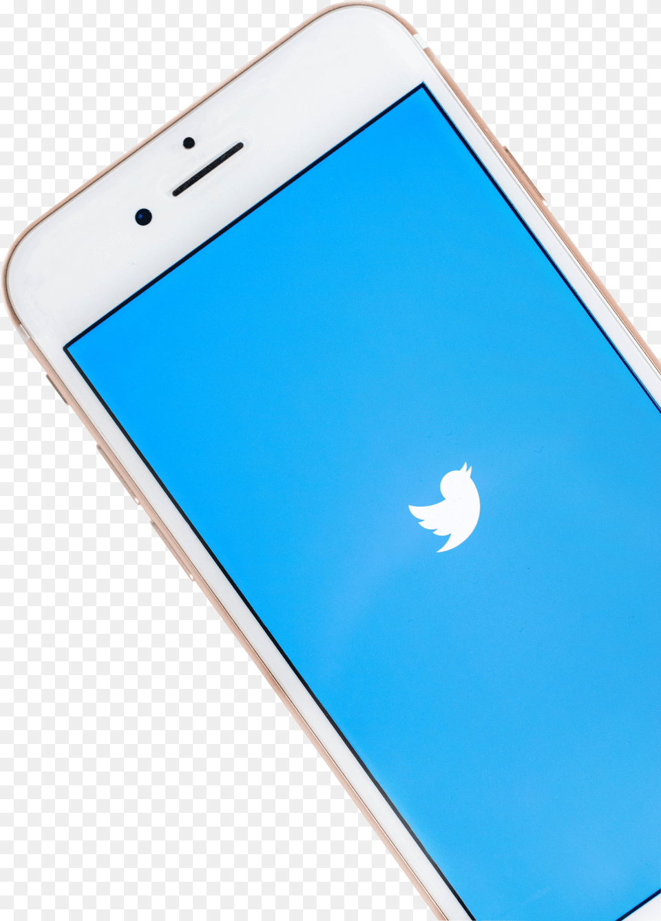 Twitter Bird On Phone, Adult, Wedding, Person, Woman Png