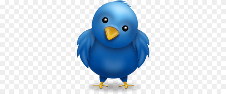 Twitter Bird The Bibliotaphe Closet Twitter Bird Face, Animal, Beak Free Png Download