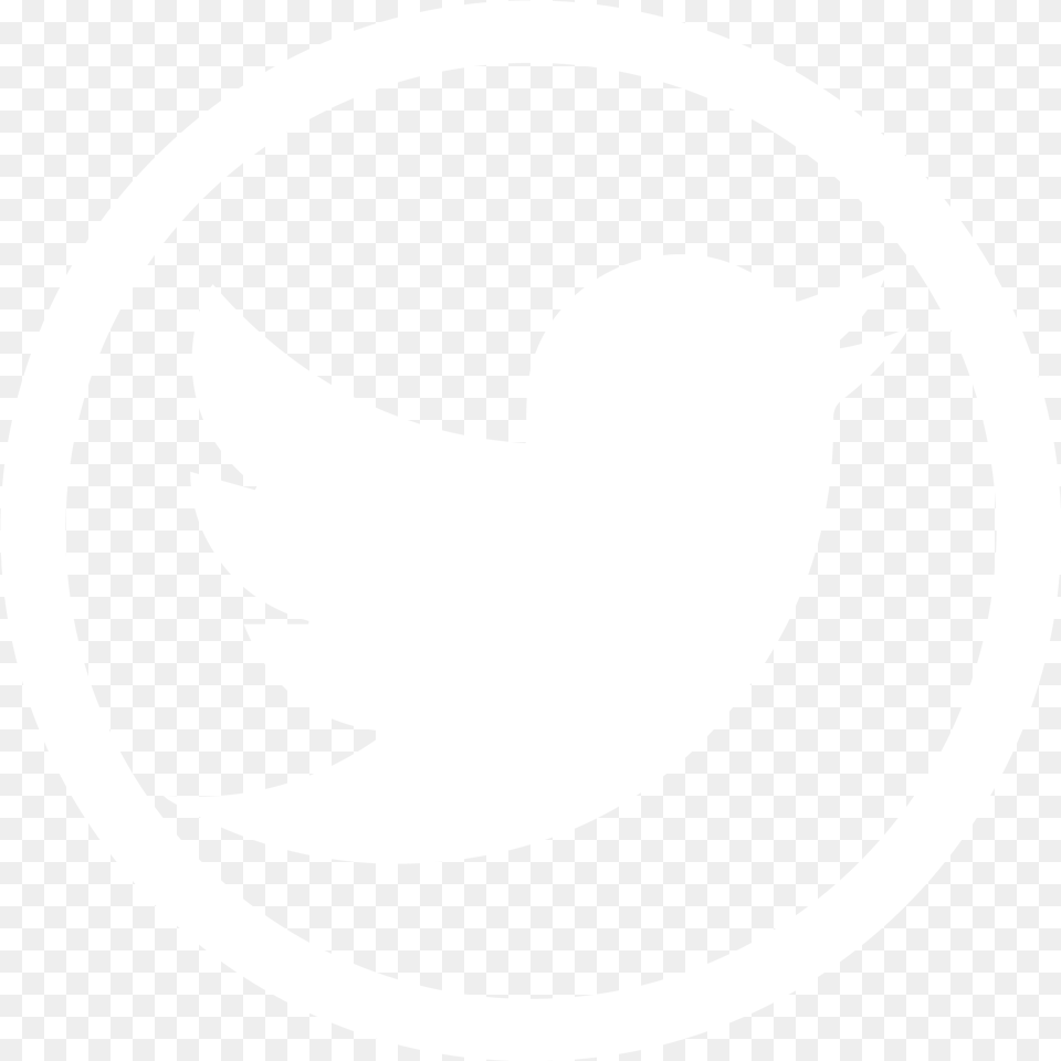 Twitter Bird Transparent Background Transparent Background Twitter Logo, Stencil Png Image