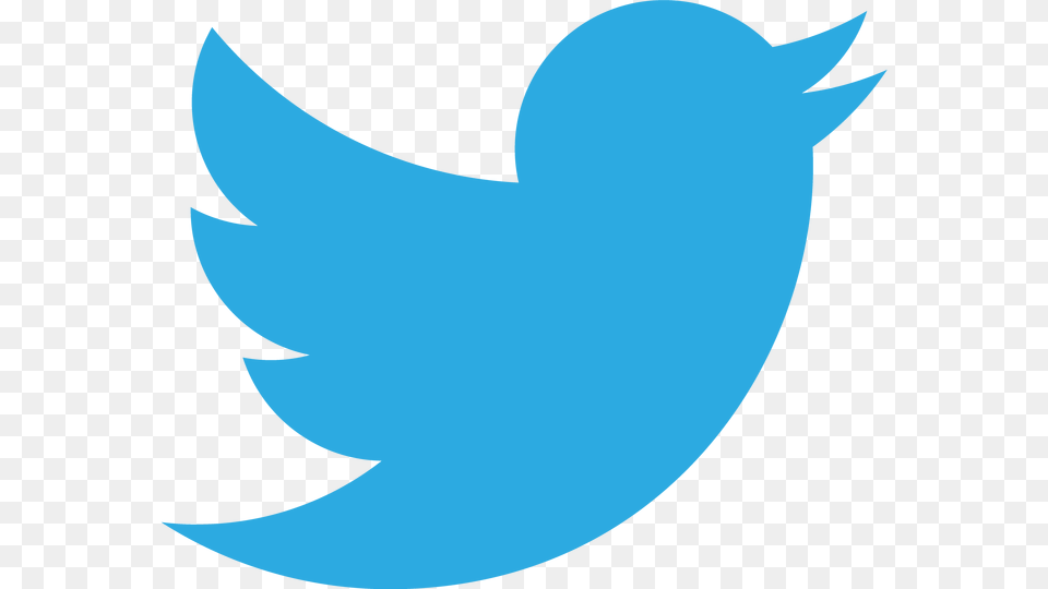 Twitter Bird Background Twitter Vector Logo Free Transparent Png