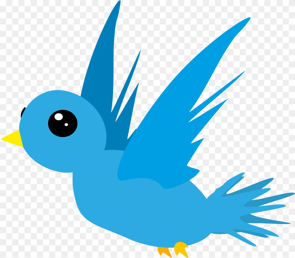 Twitter Bird Cartoon A Bird Clipart, Animal, Jay, Fish, Sea Life Free Transparent Png